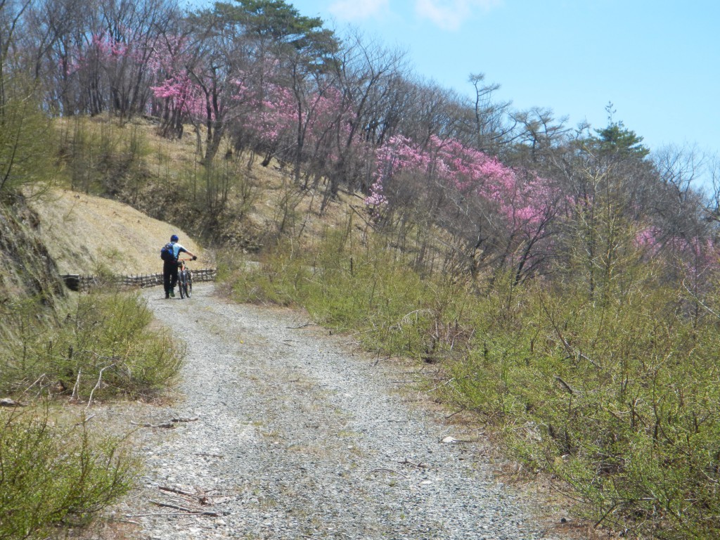 mtbツーリング日光2016.4 006